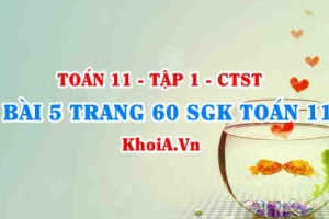Bài 5 trang 60 SGK Toán 11 Tập 1 Chân trời sáng tạo